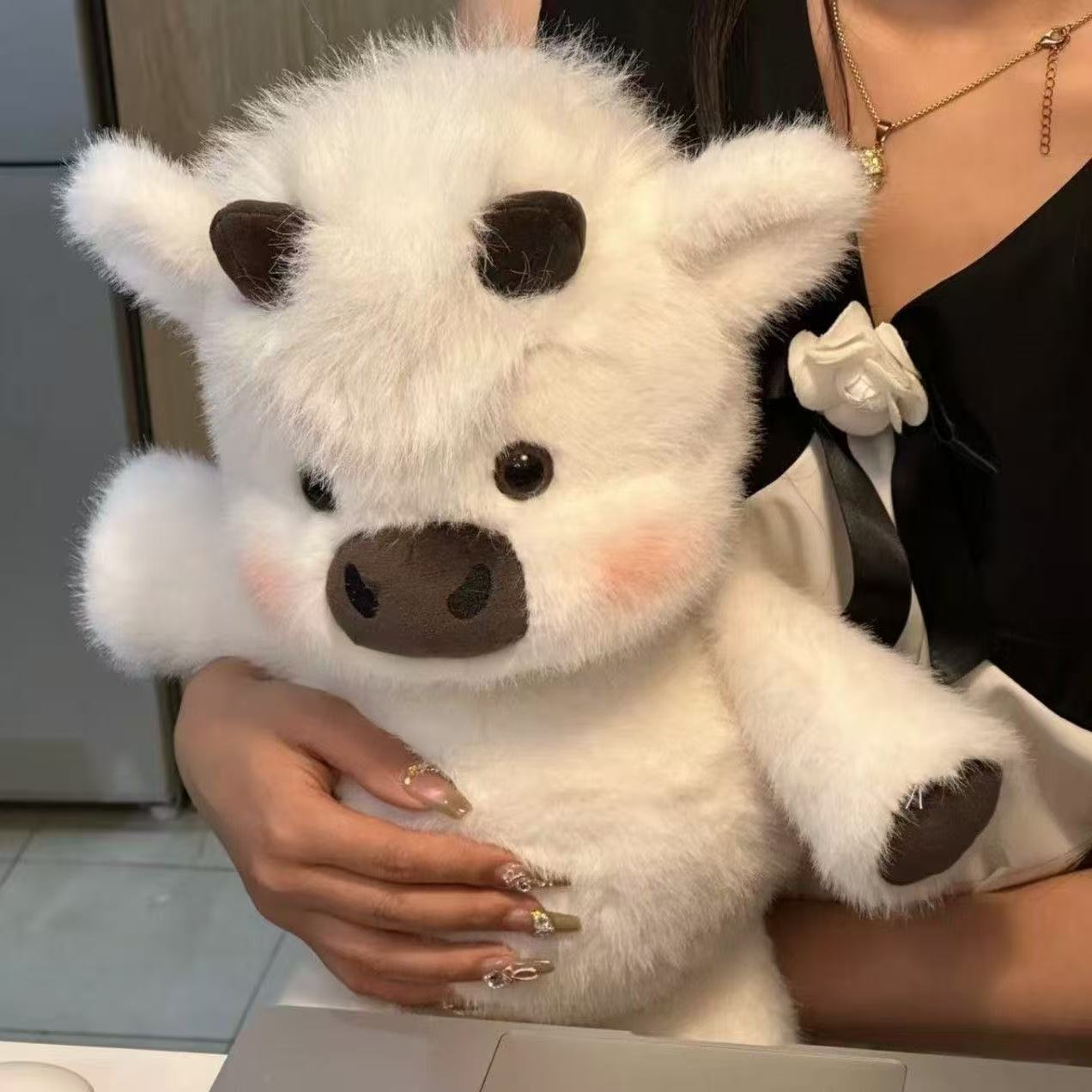 Img